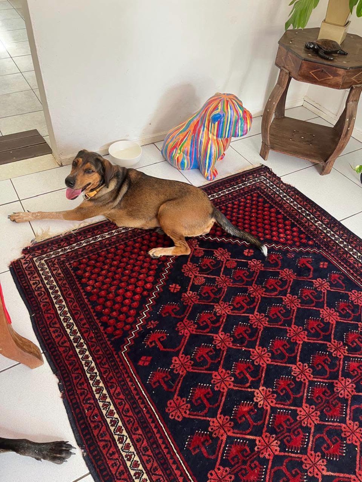 Adoption Mama