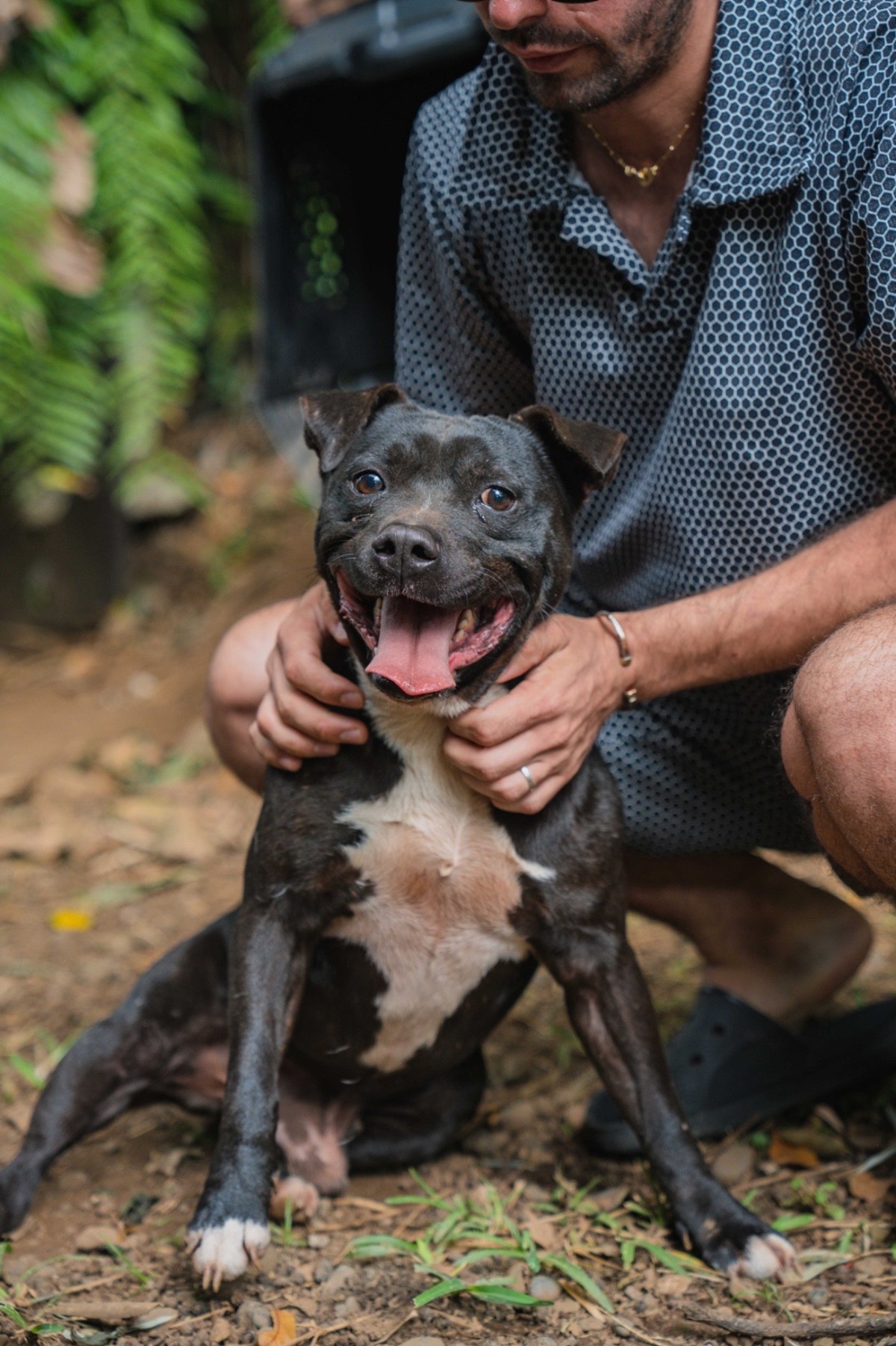 Adoption Tyson
