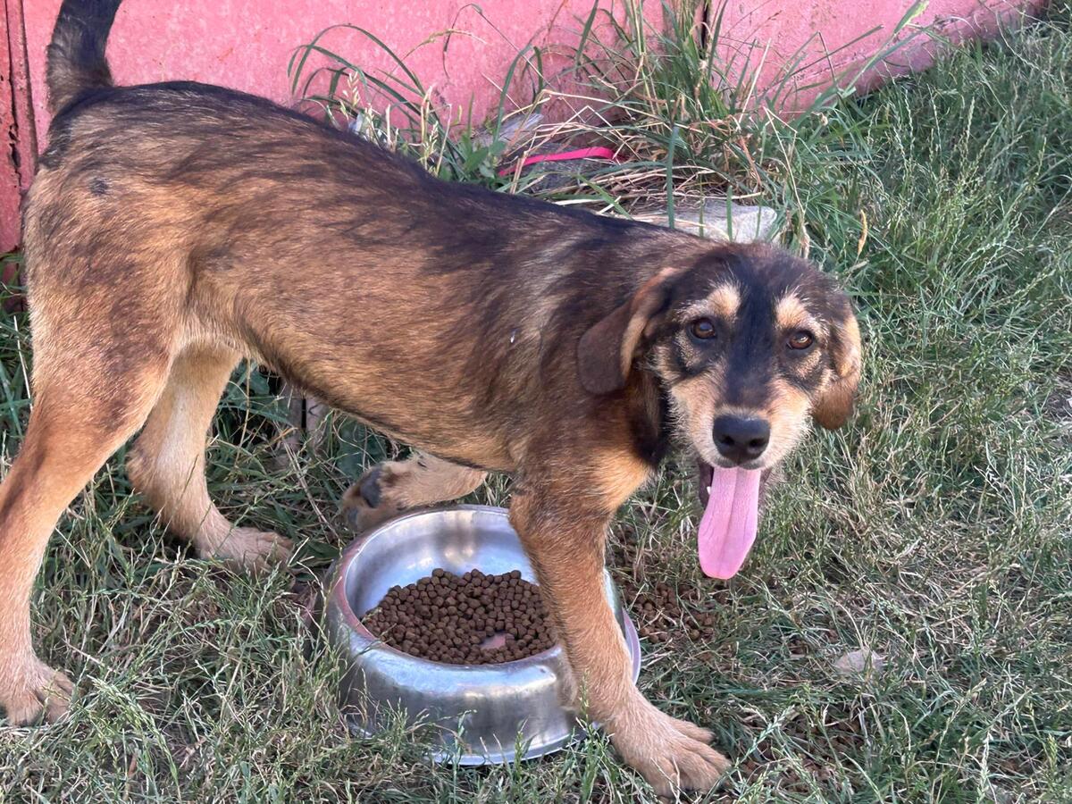 Adoption Marla