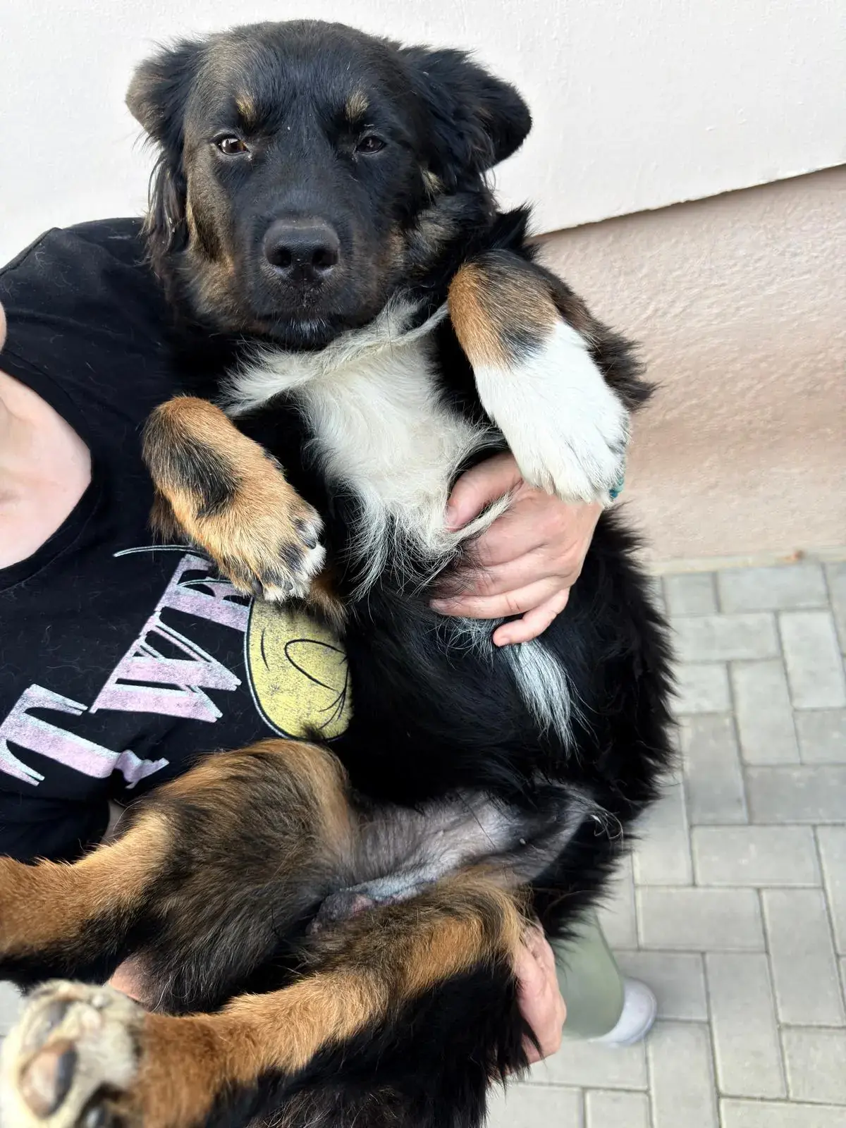 Adoption Kevin