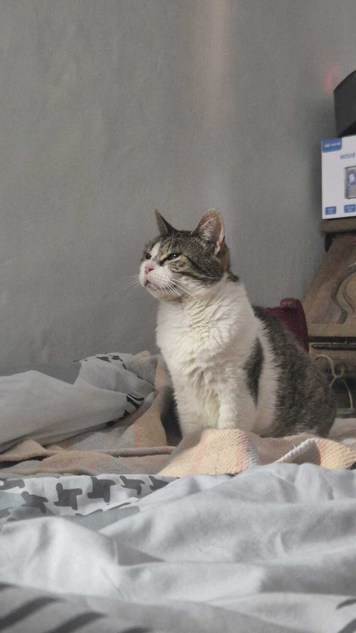 Adoption Shiva