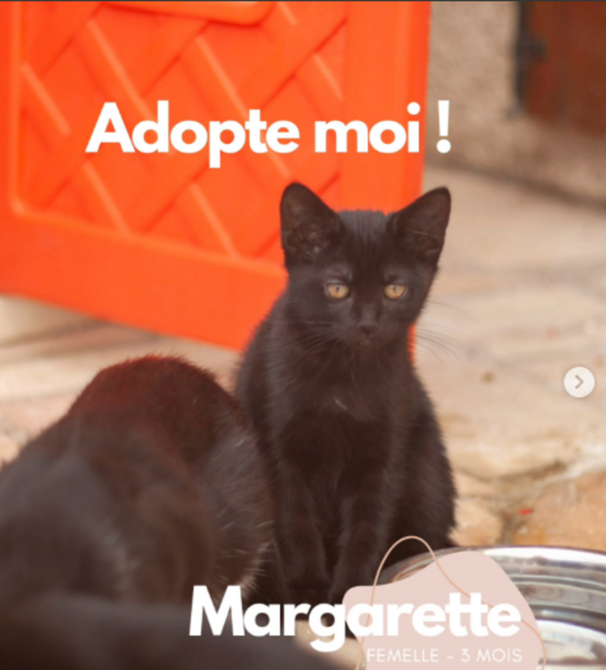 Adoption Margarette
