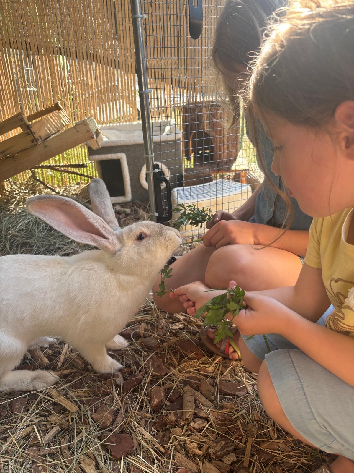 Adoption HOPPE