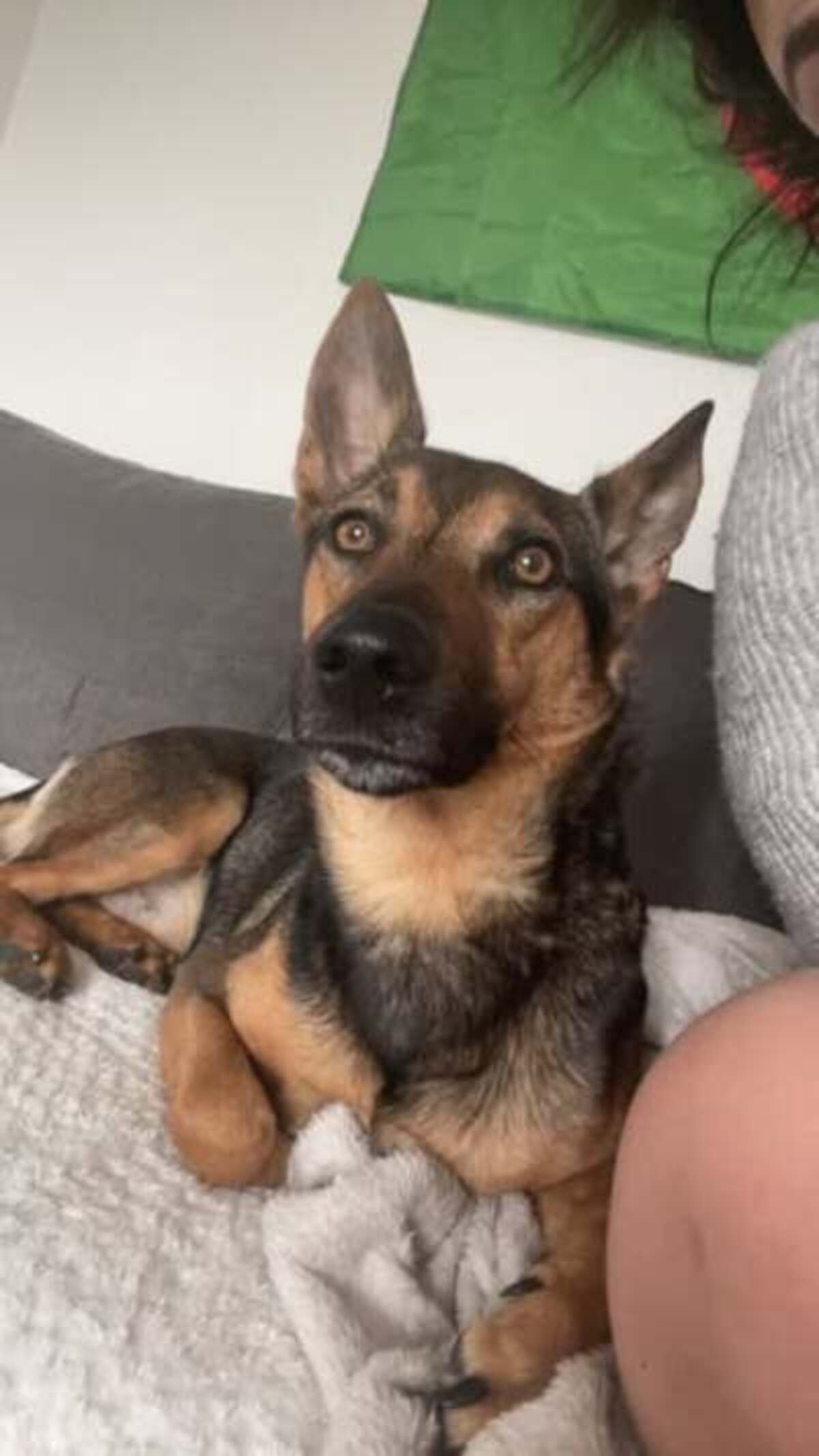Adoption Taiko