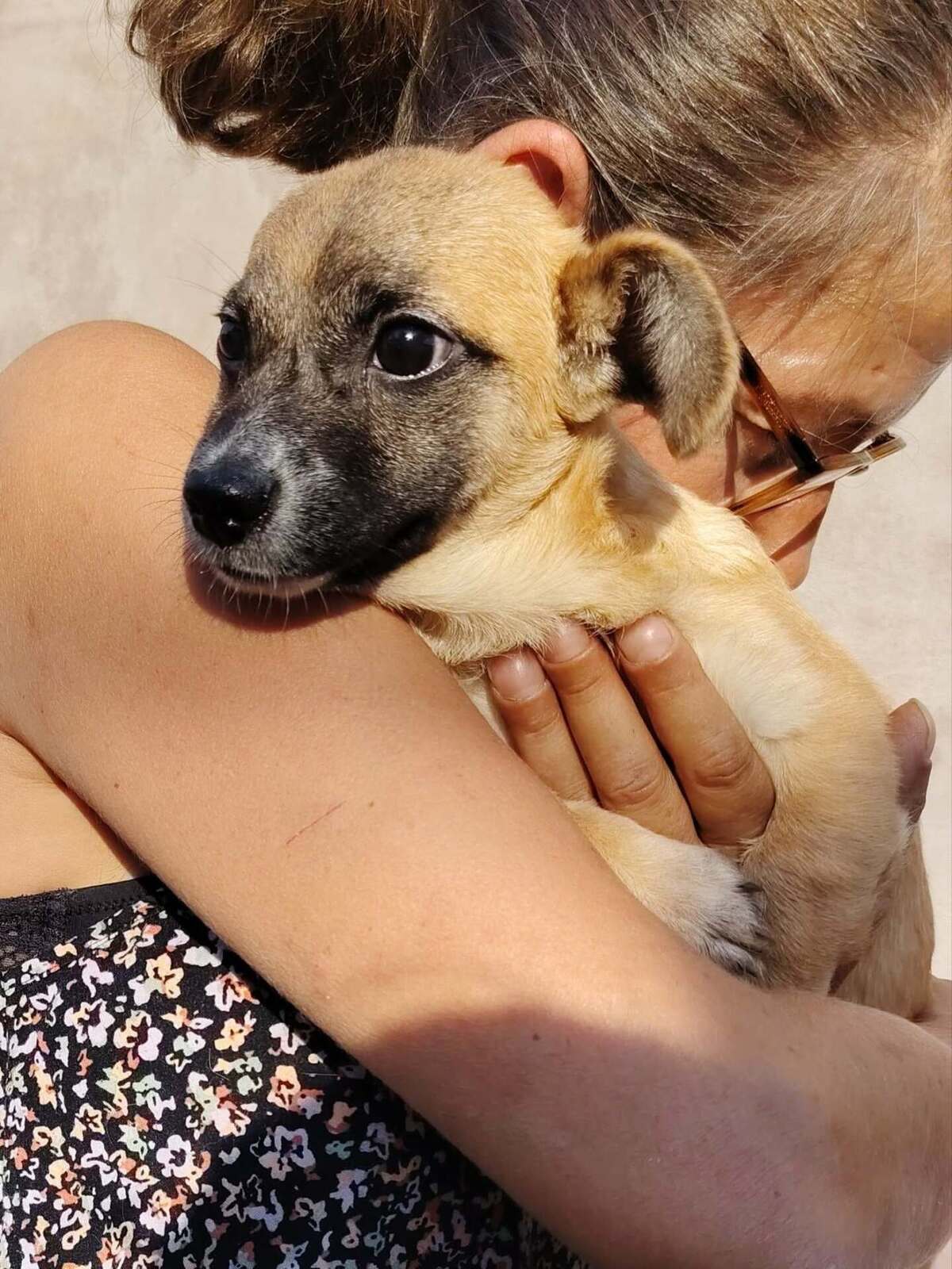 Adoption Soan