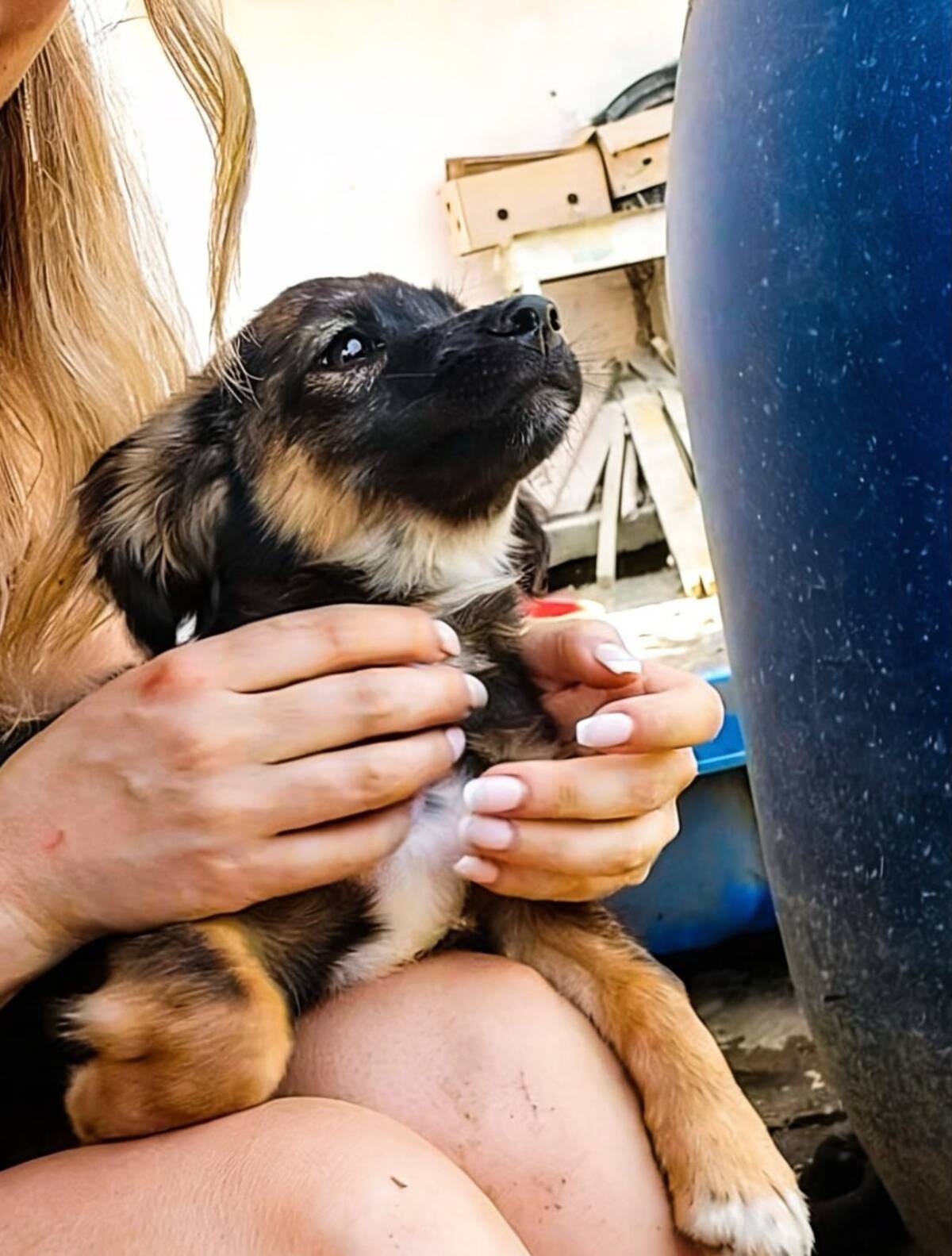 Adoption Jack