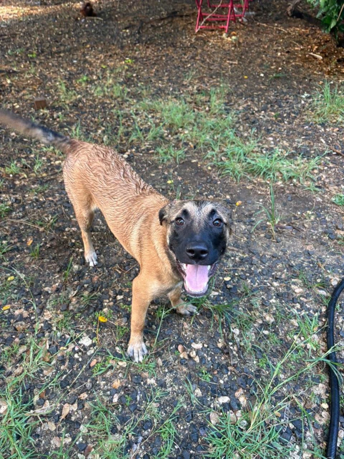 Adoption Soleya