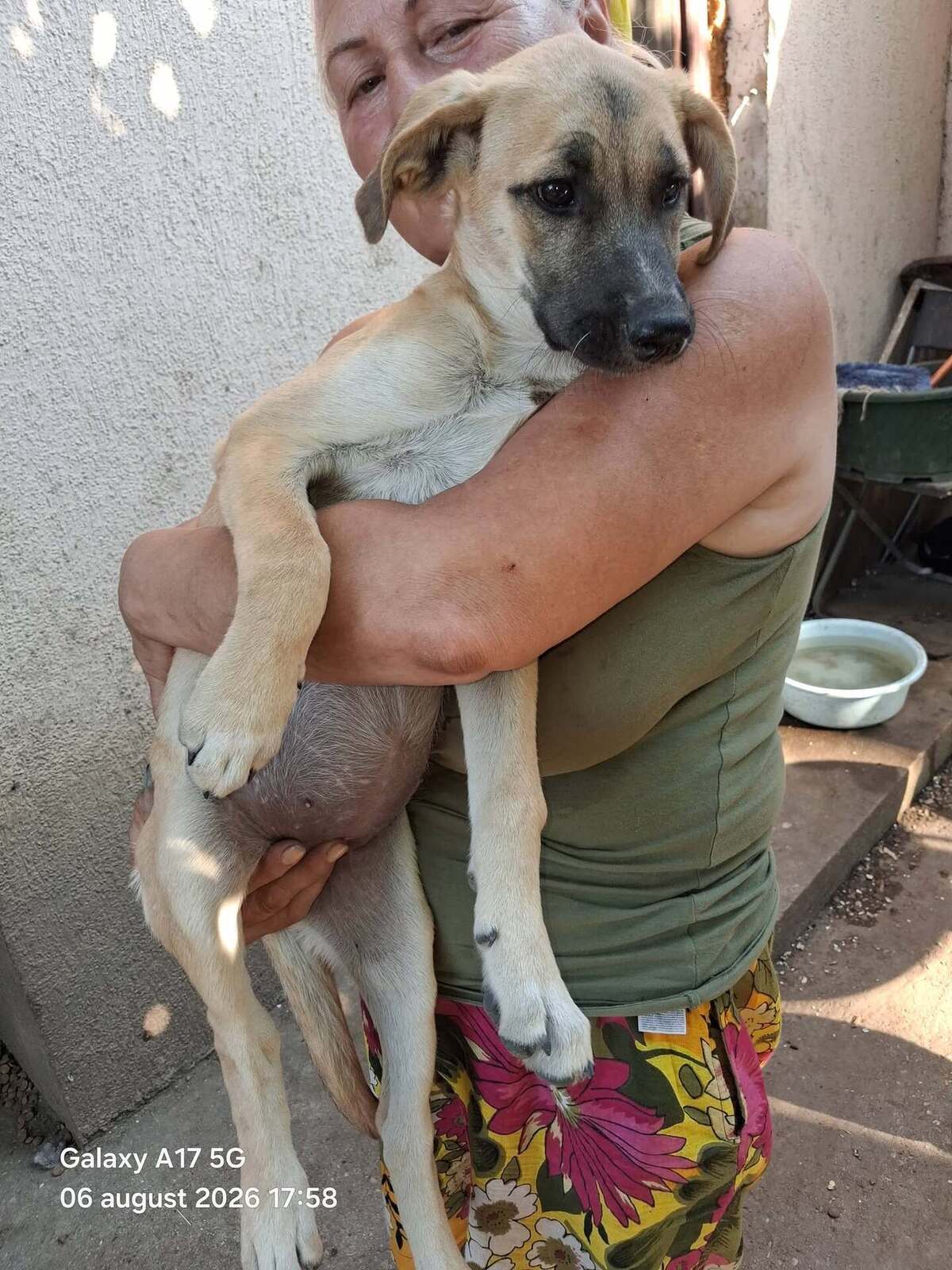 Adoption Topaze