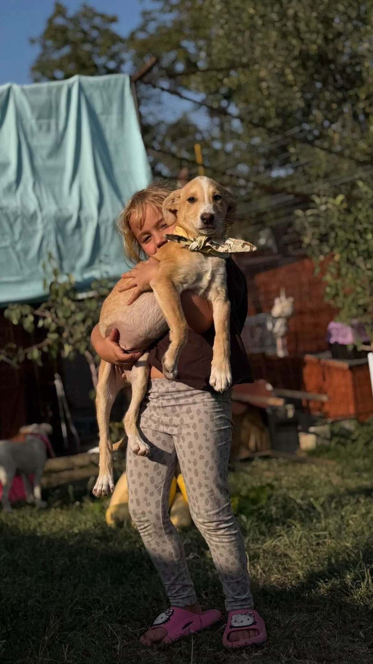 Adoption Anatole