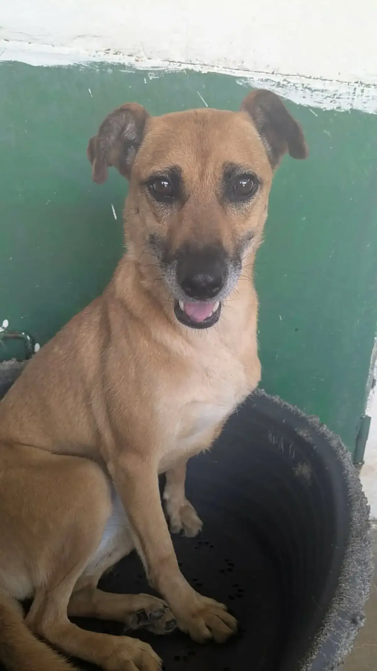 Adoption Leonie