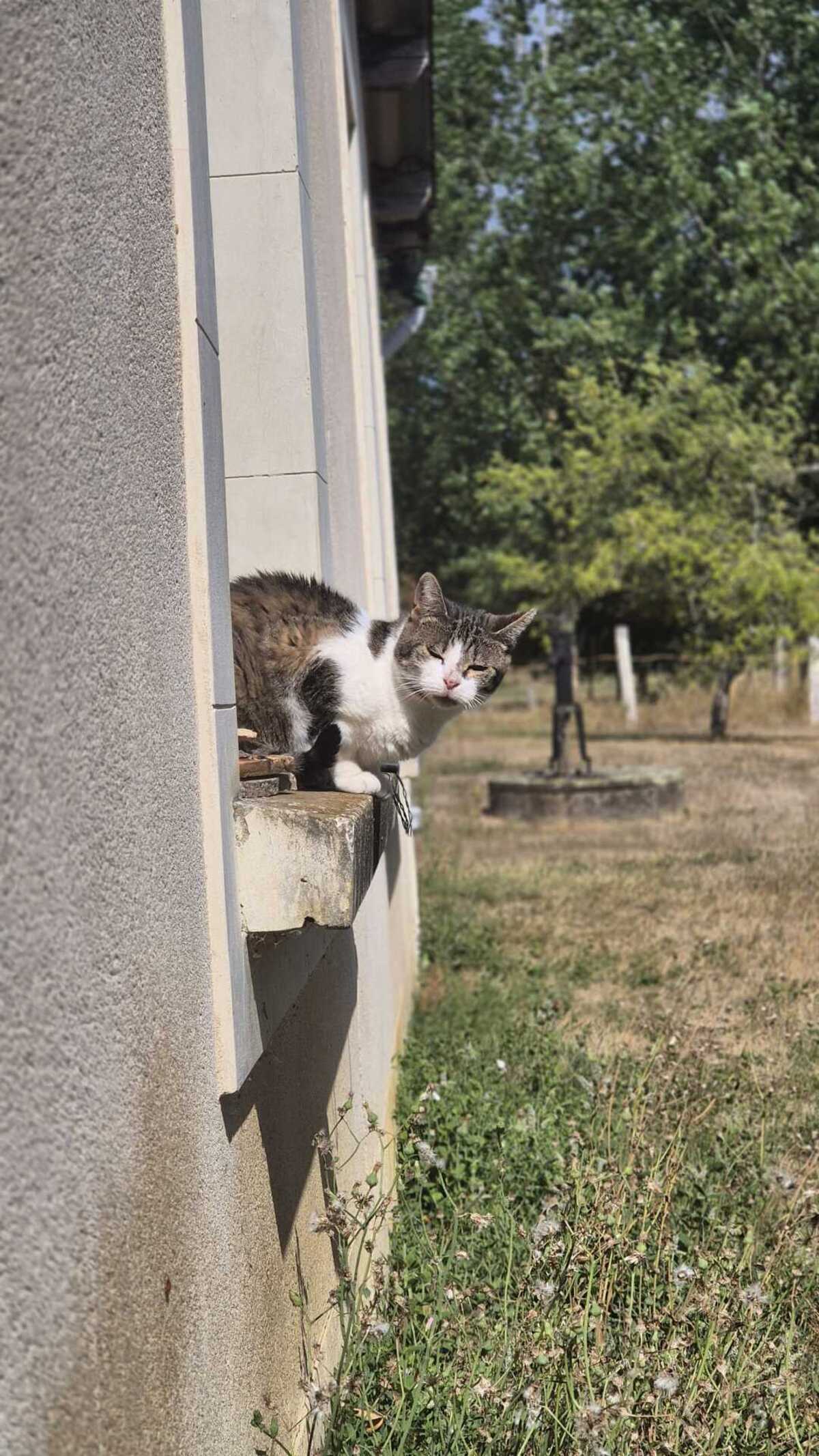 Adoption Shiva