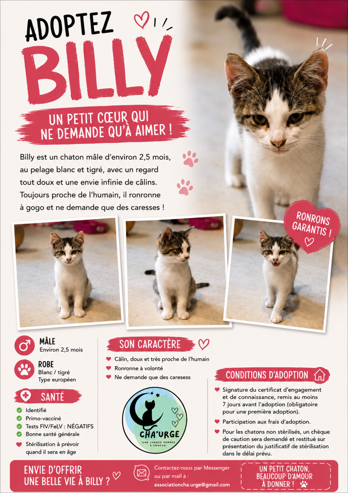 Adoption Billy