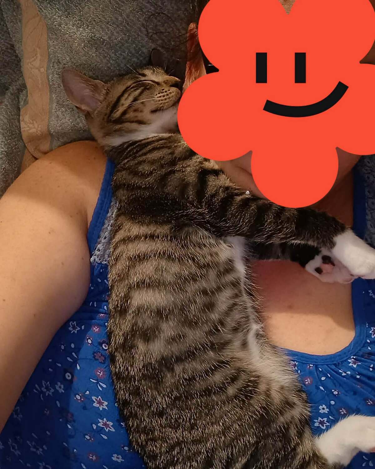 Adoption BOGOSS