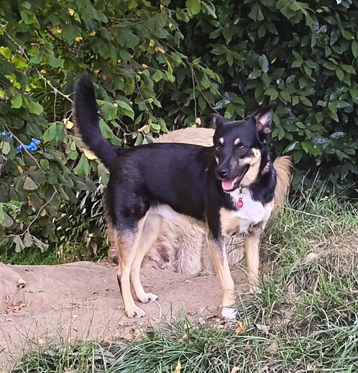 Adoption Kelina