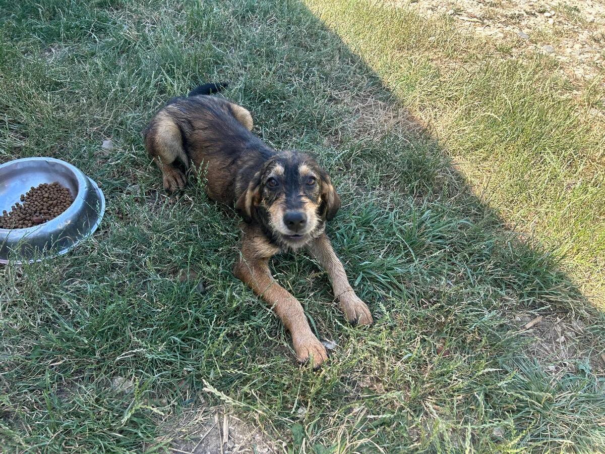 Adoption Marla