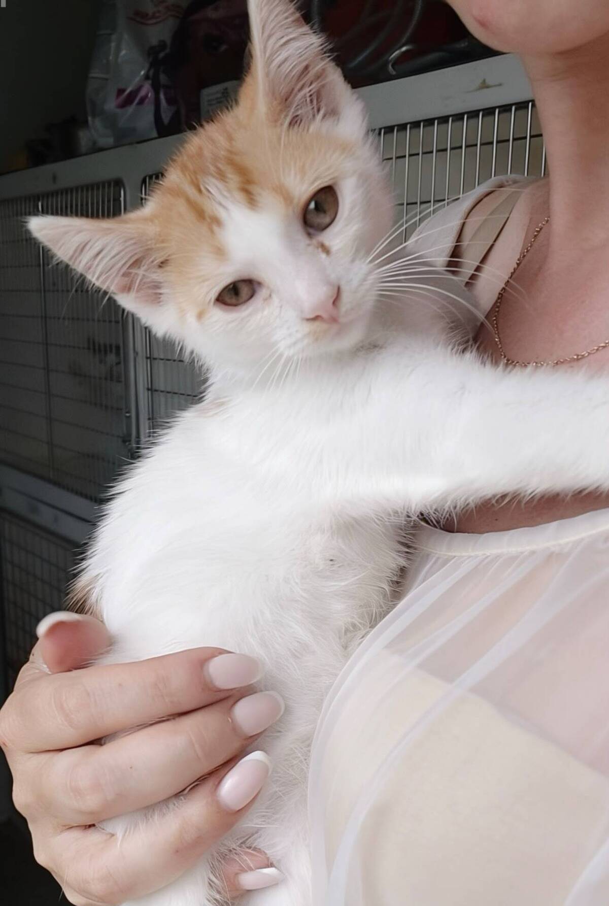 Adoption BLOOM