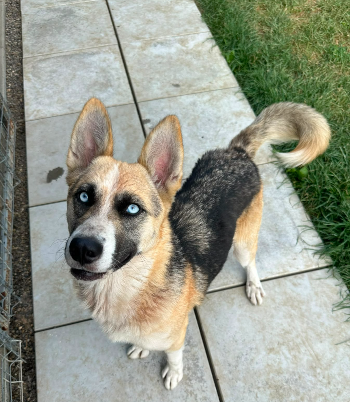 Adoption Zina