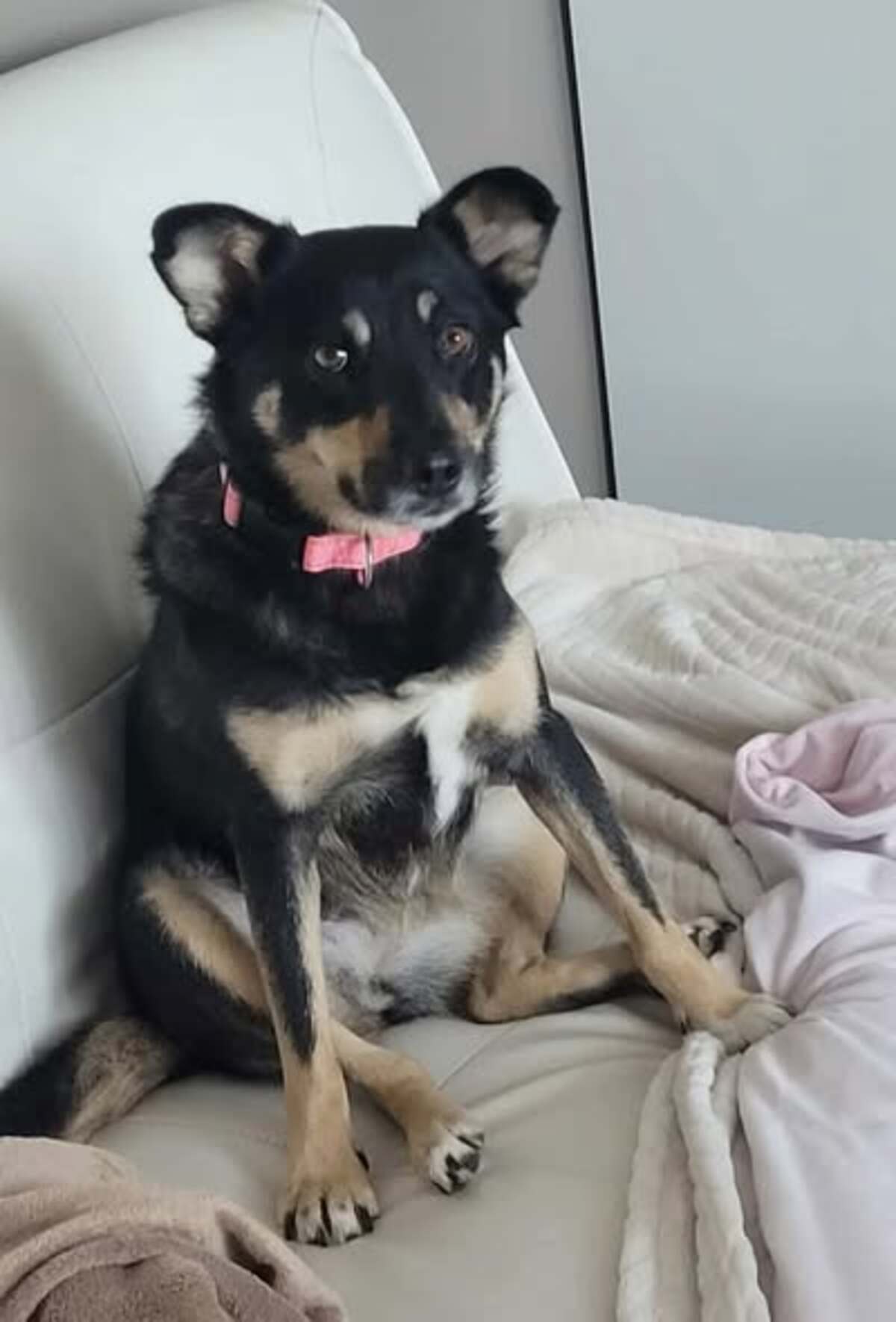 Adoption Talya