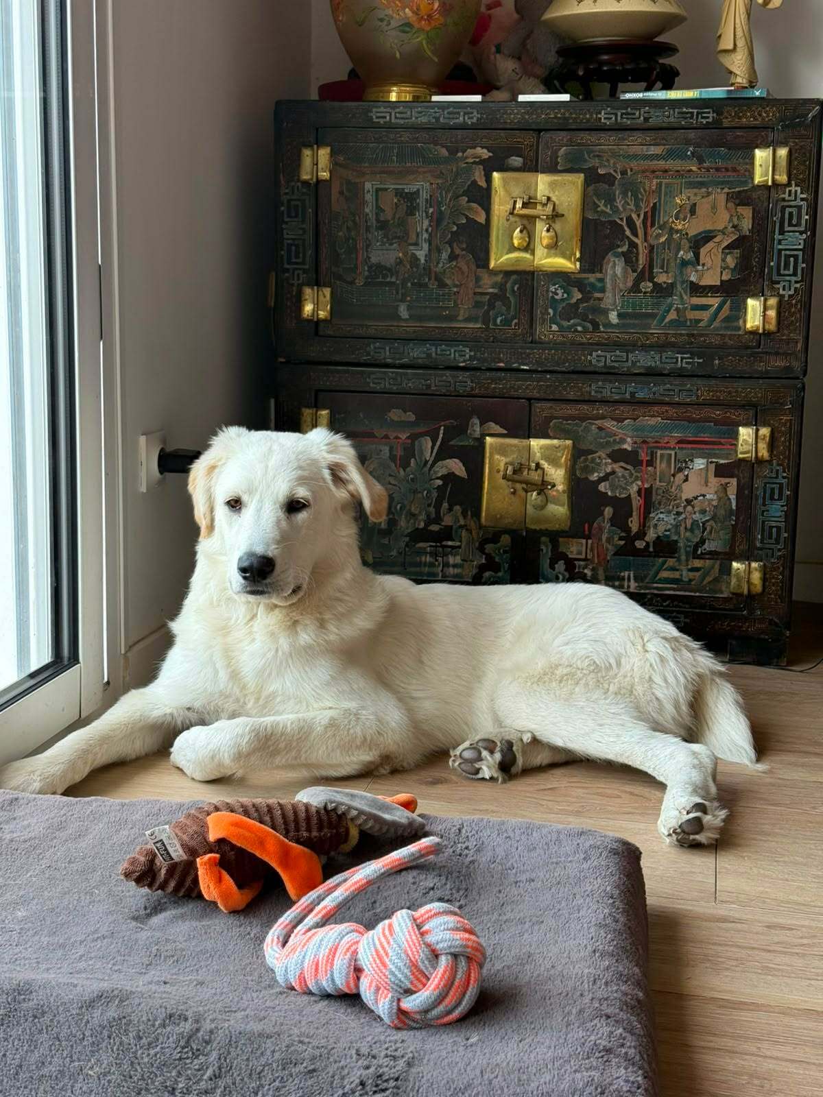 Adoption Andrea