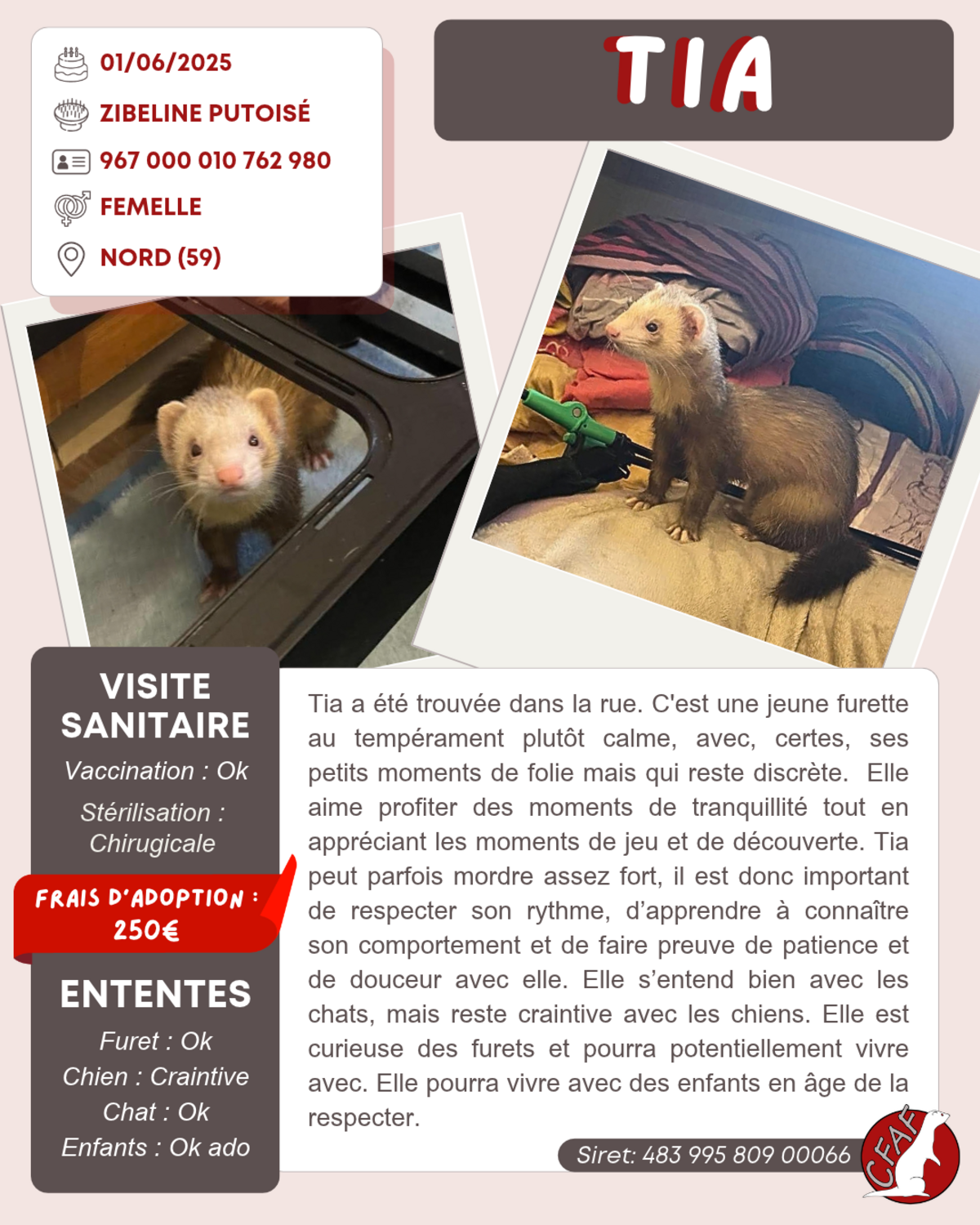 Adoption Tia
