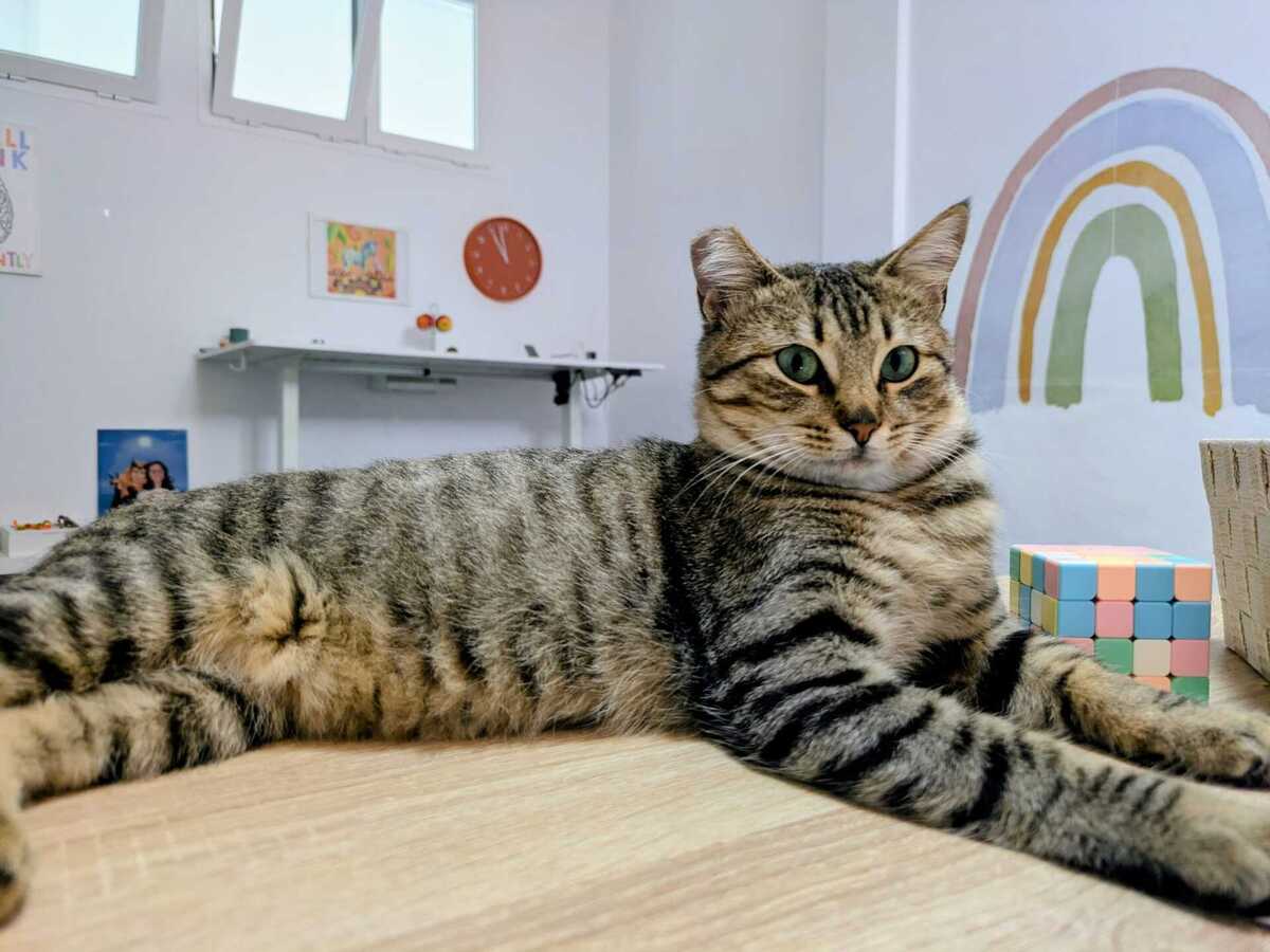 Adoption Romina