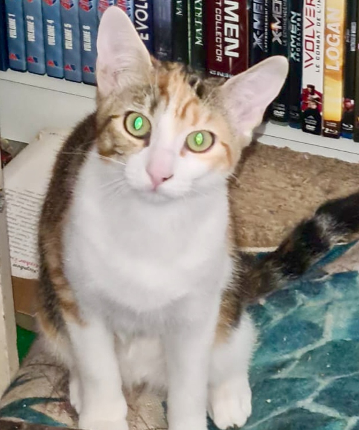 Adoption Betty