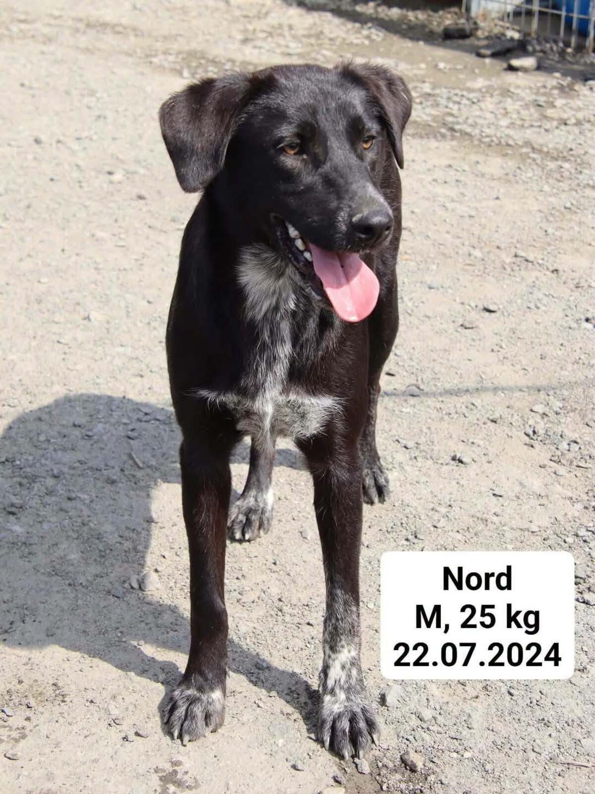 Adoption NORD