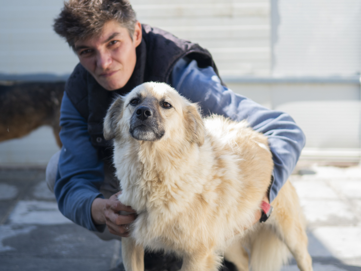 Adoption Jango