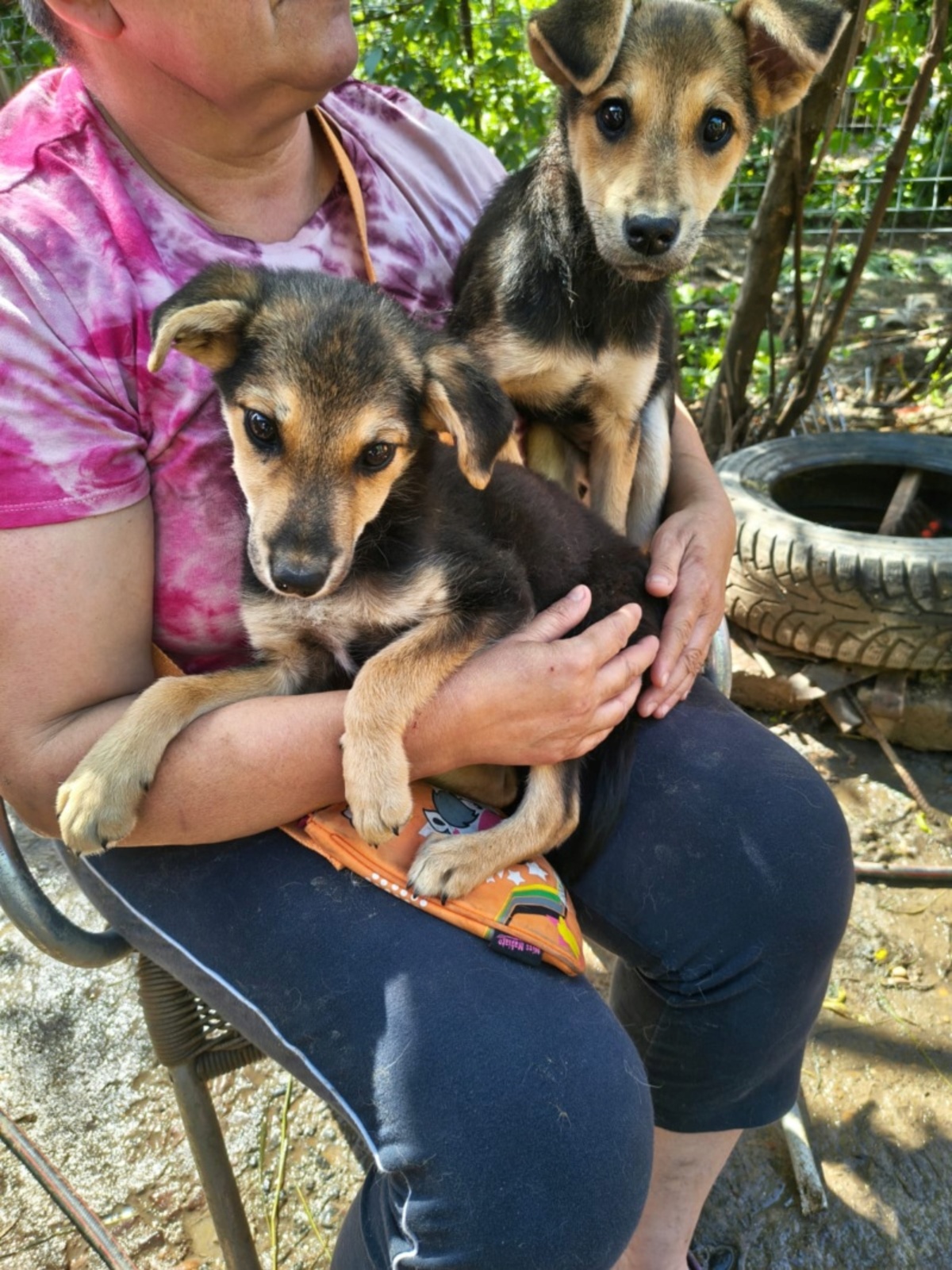 Adoption Kiran