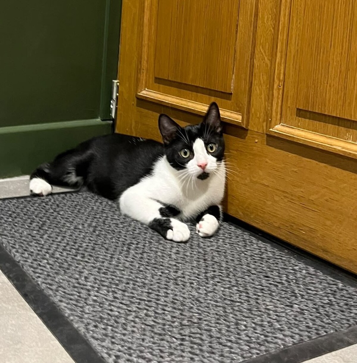 Adoption Charly