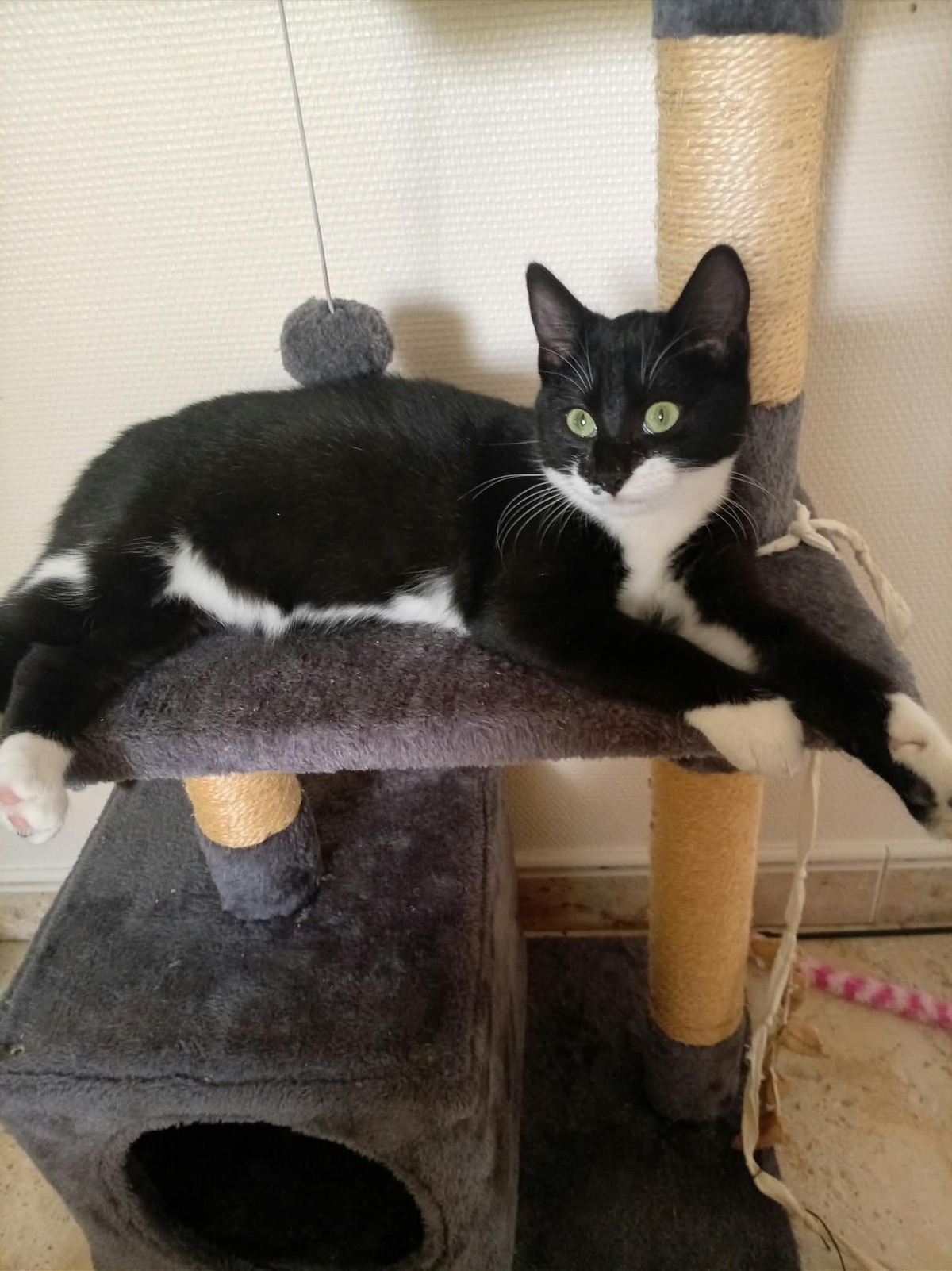 Adoption Becky