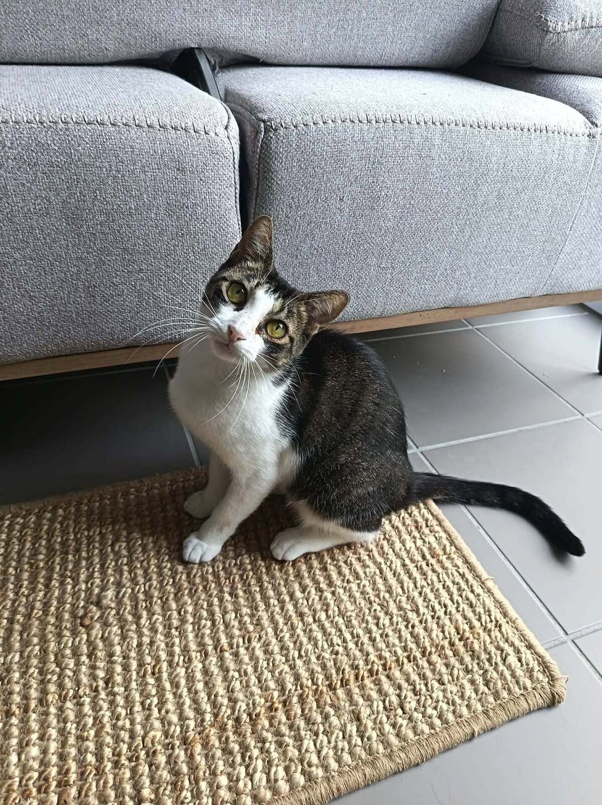 Adoption Mila