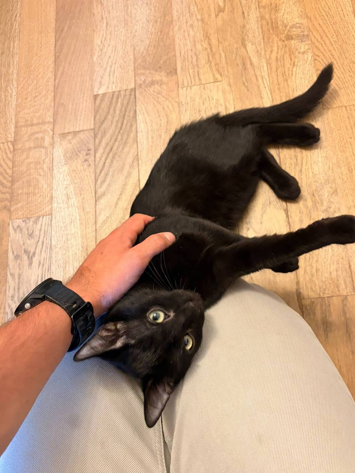 Adoption Odin