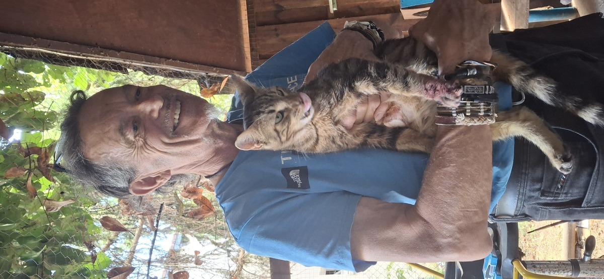 Adoption Poppy 