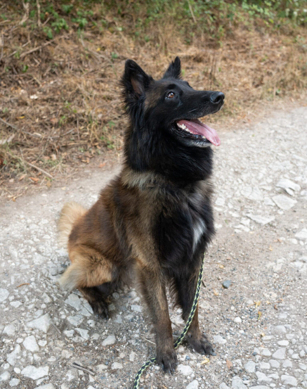 Adoption Caramel