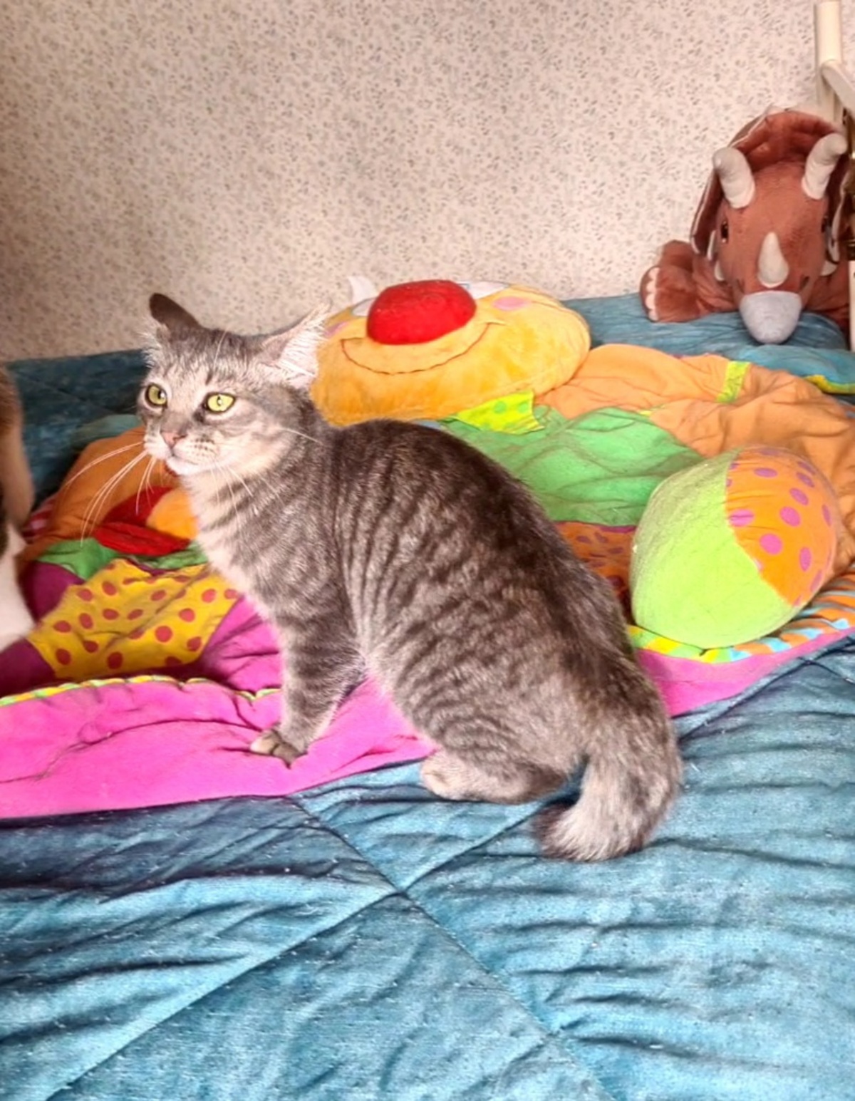 Adoption Rosine