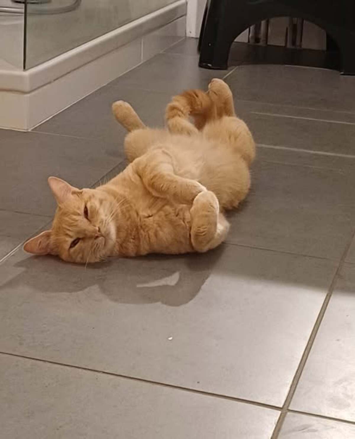 Adoption Caramel