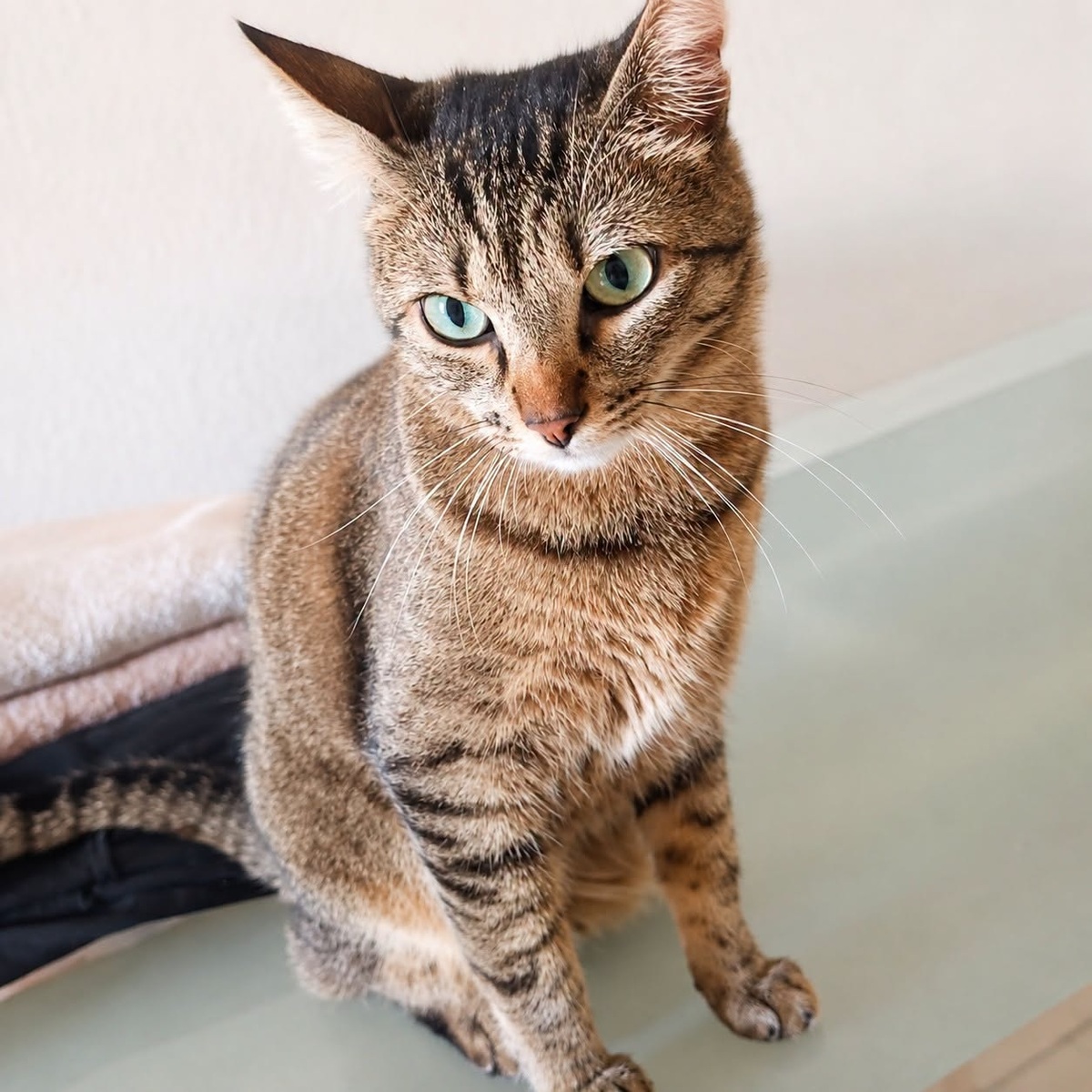 Adoption YUMI