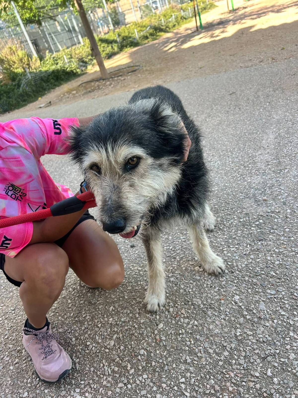 Adoption Sam
