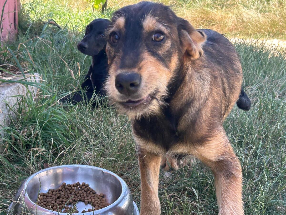 Adoption Marla
