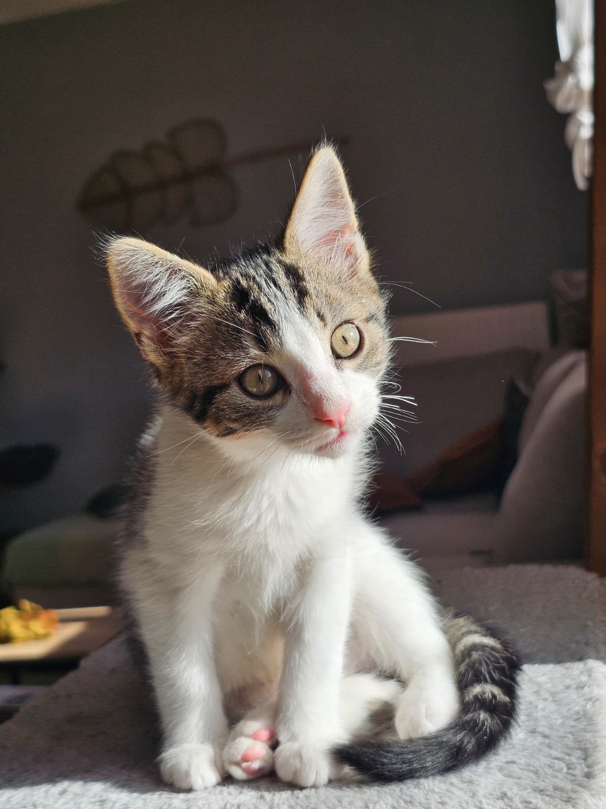Adoption Bianca