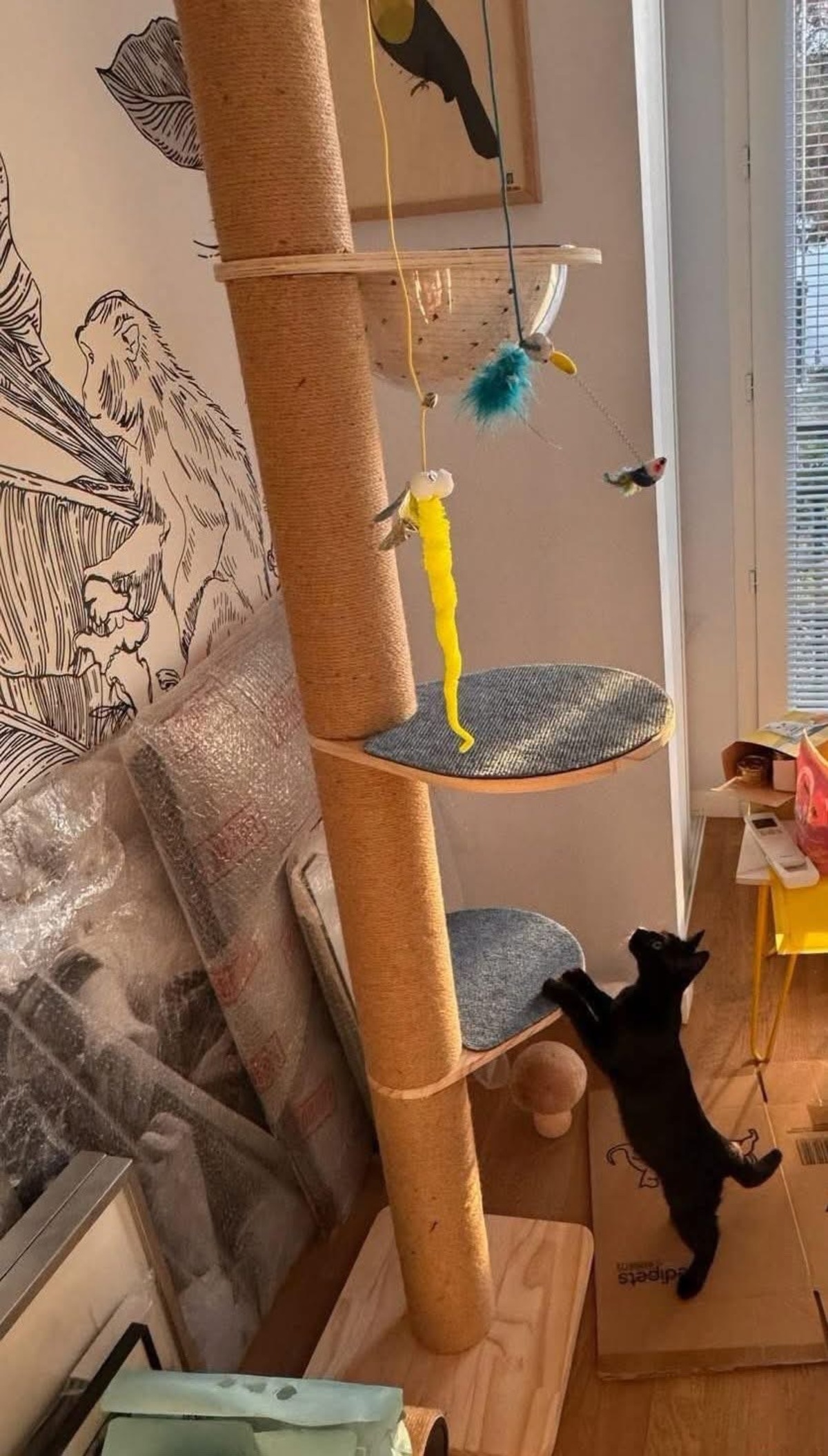 Adoption Ritaline
