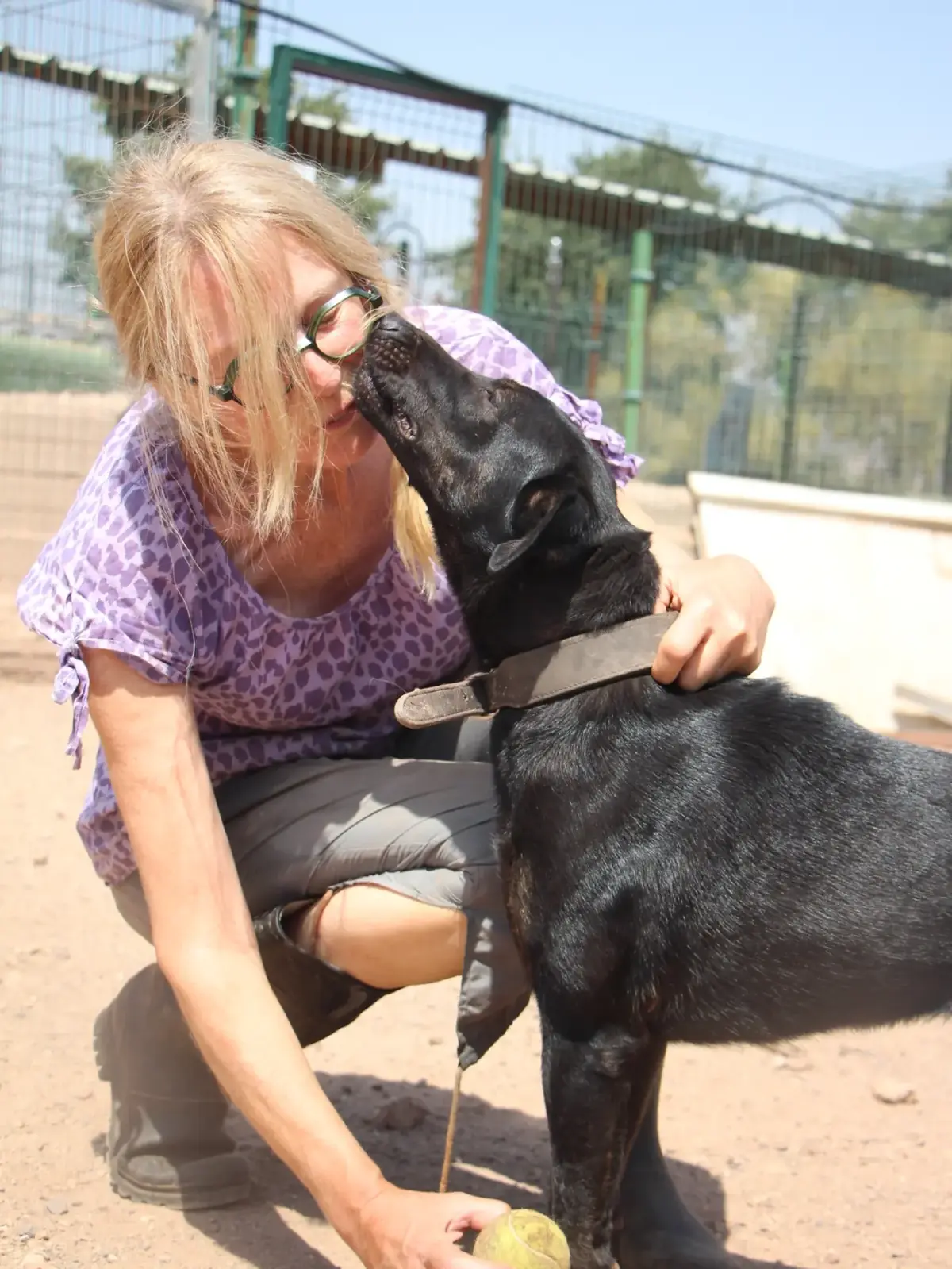 Adoption Anastasia