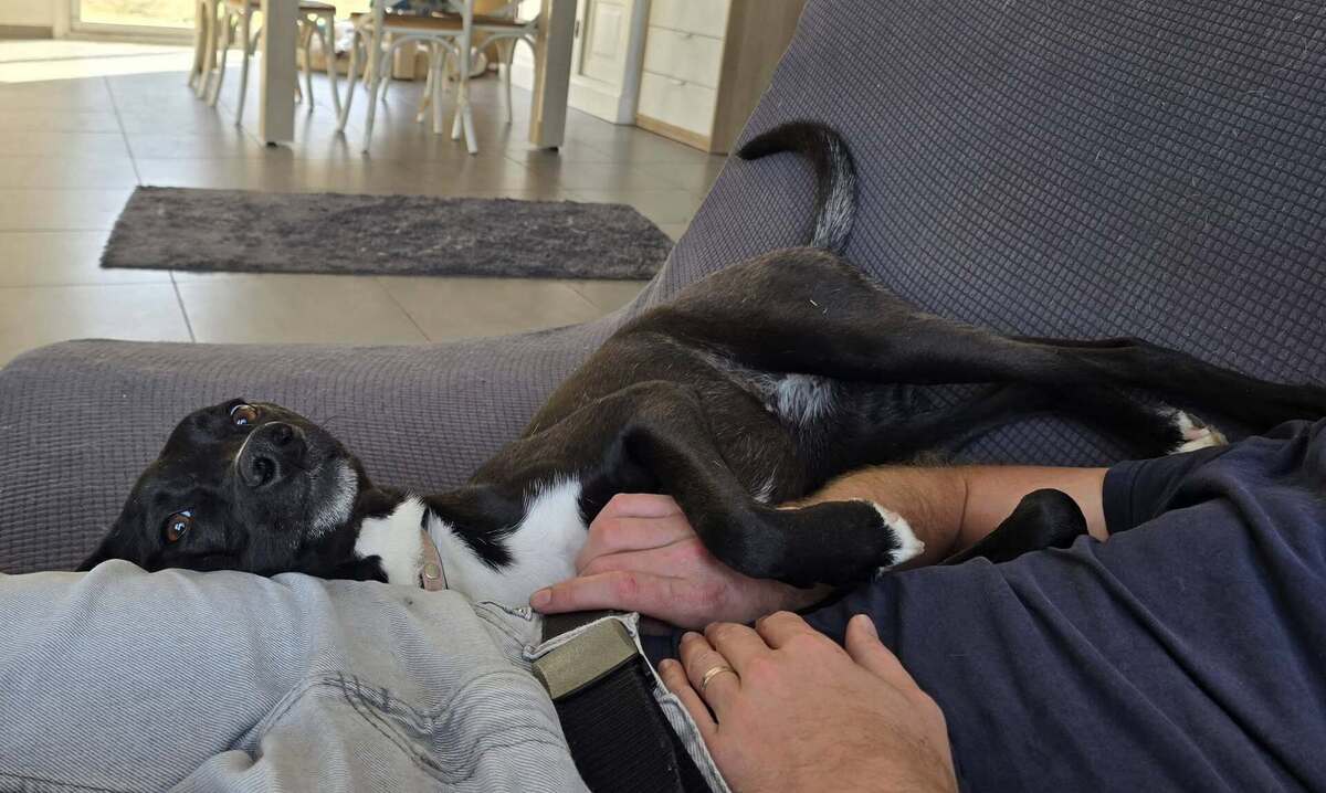 Adoption Carrie