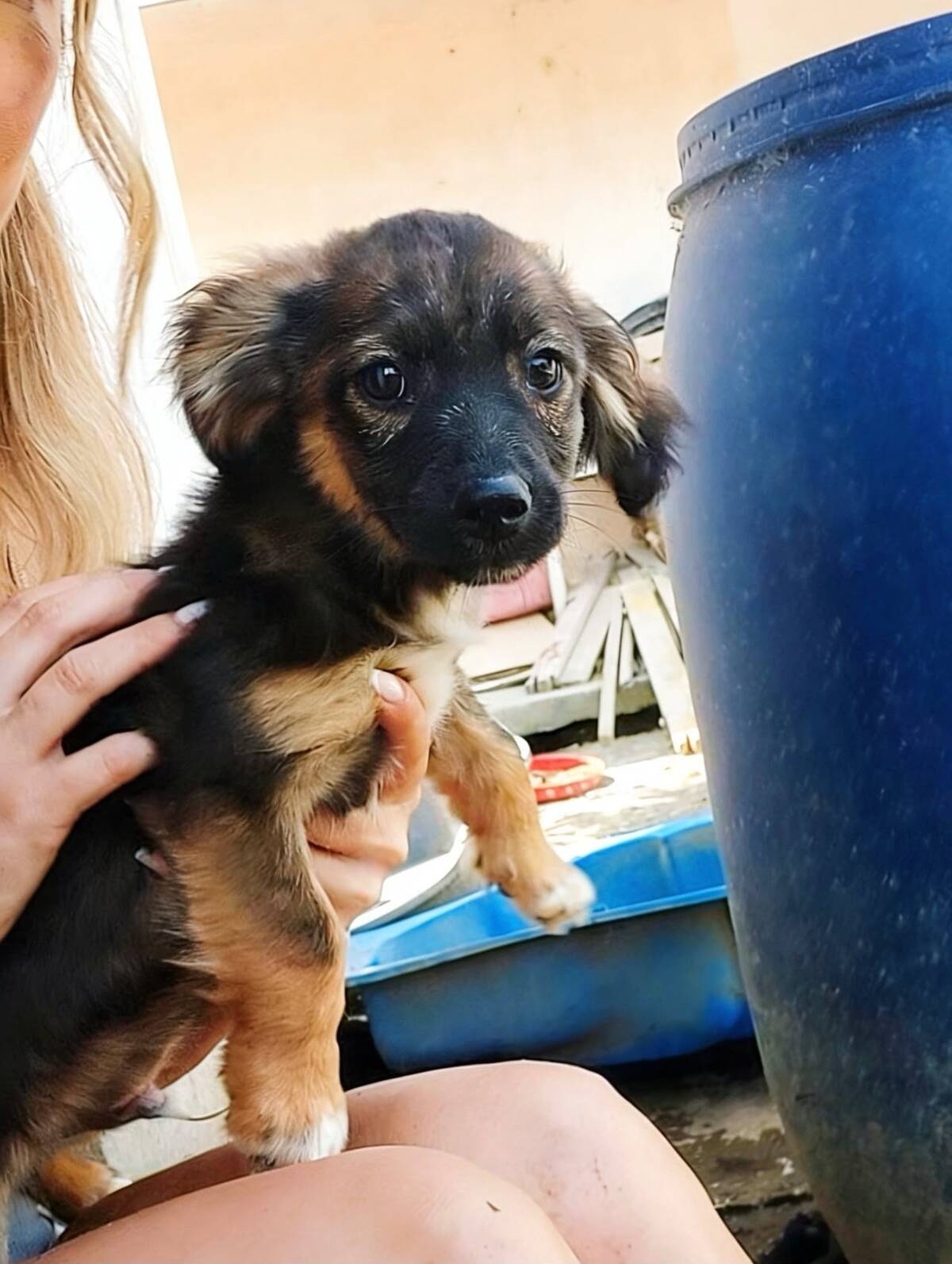 Adoption Jack