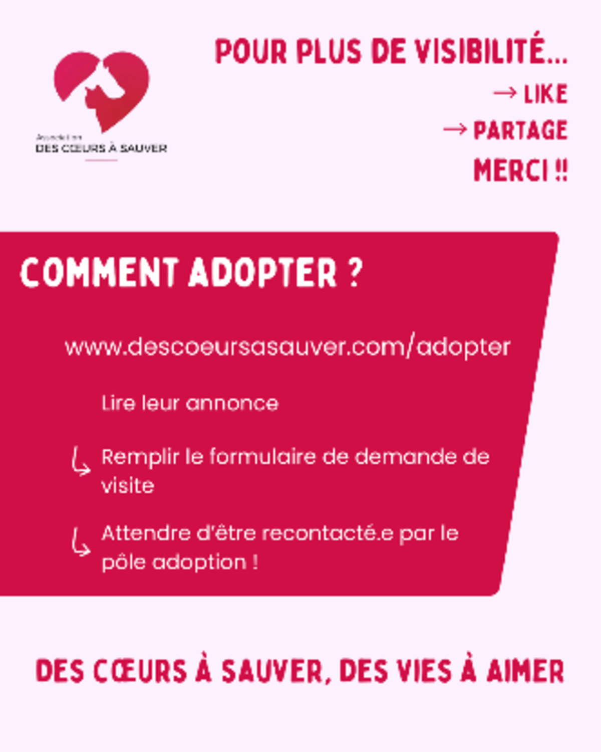 Adoption Cricy