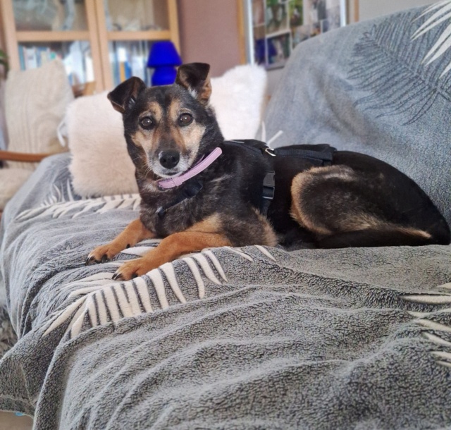 Adopter Yali