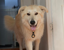 Alby