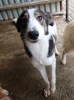 Adopter : Ezra