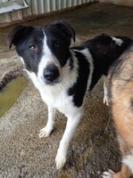 Adopter : Lyly